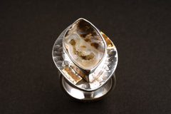 Ammonite Fossilised Shell slice Ring - Adjustable Crystal Ring - Textured Band and bezel - Abstract brass dressing - Size 4 - 10 US