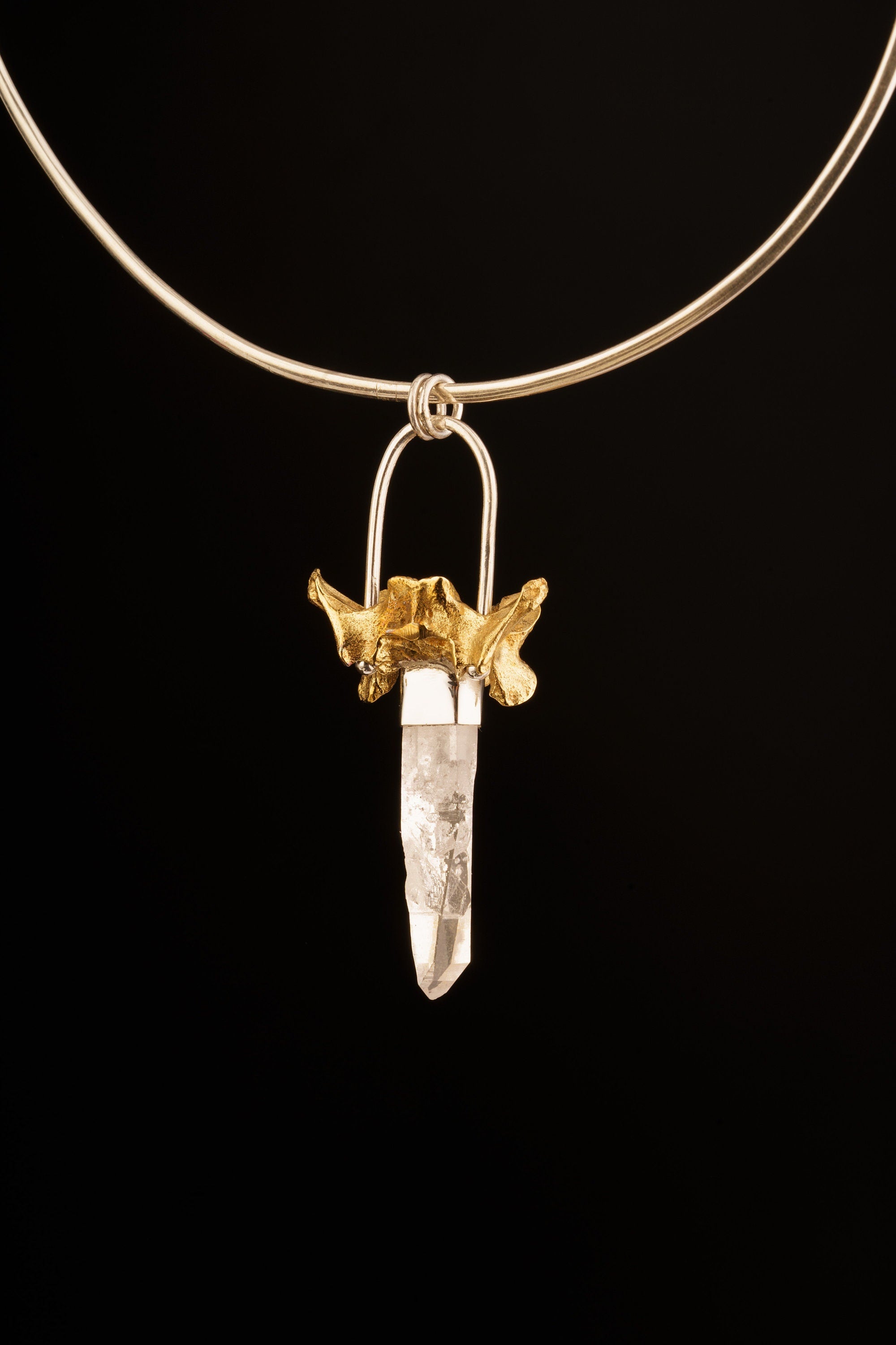 Light Laser Vera Cruz Amethyst Quartz Point Pendant, Sterling Silver with Kangaroo Vertebrate Brass Cast, Talisman Jewelry, Unique Gift