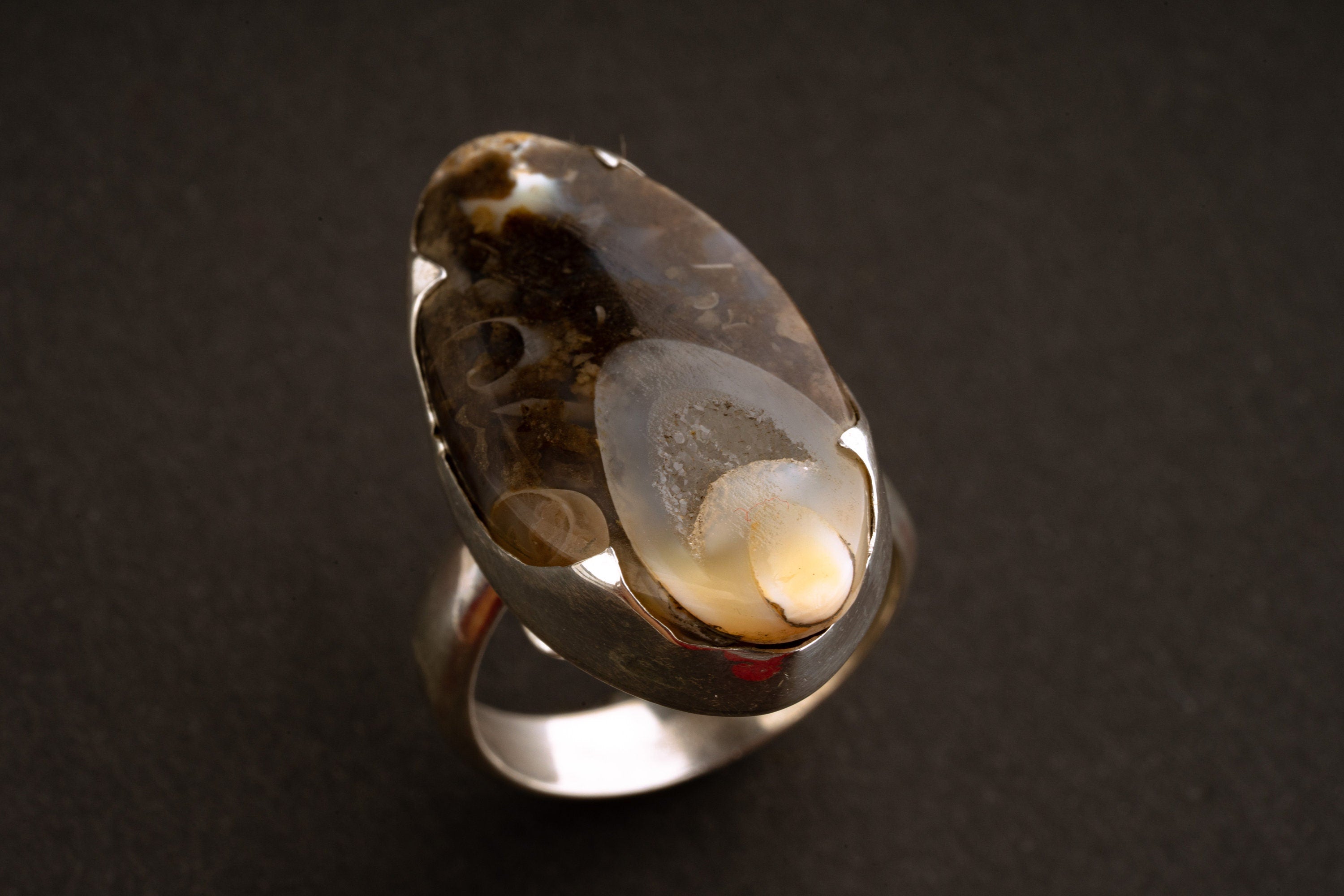 Ancient Crystalized Shell - Unisex - Size 5-12 US - Large Adjustable Sterling Silver Ring