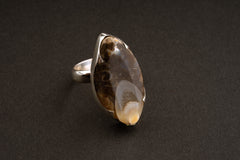 Ancient Crystalized Shell - Unisex - Size 5-12 US - Large Adjustable Sterling Silver Ring