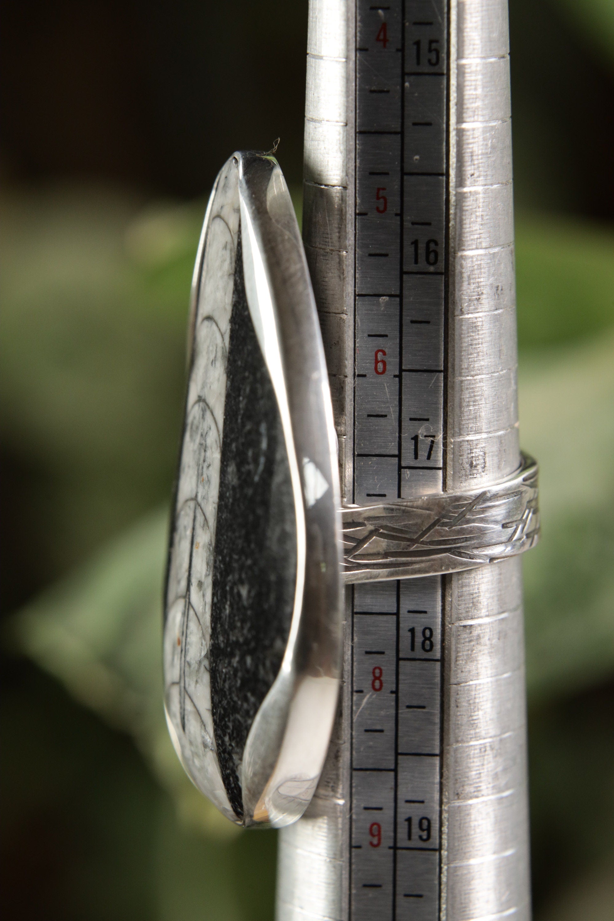 A Sturdy Embrace of Ancient Mysteries and Modern Craft: Adjustable Sterling Silver Ring with Fossil - Unisex - Size 5-10 US