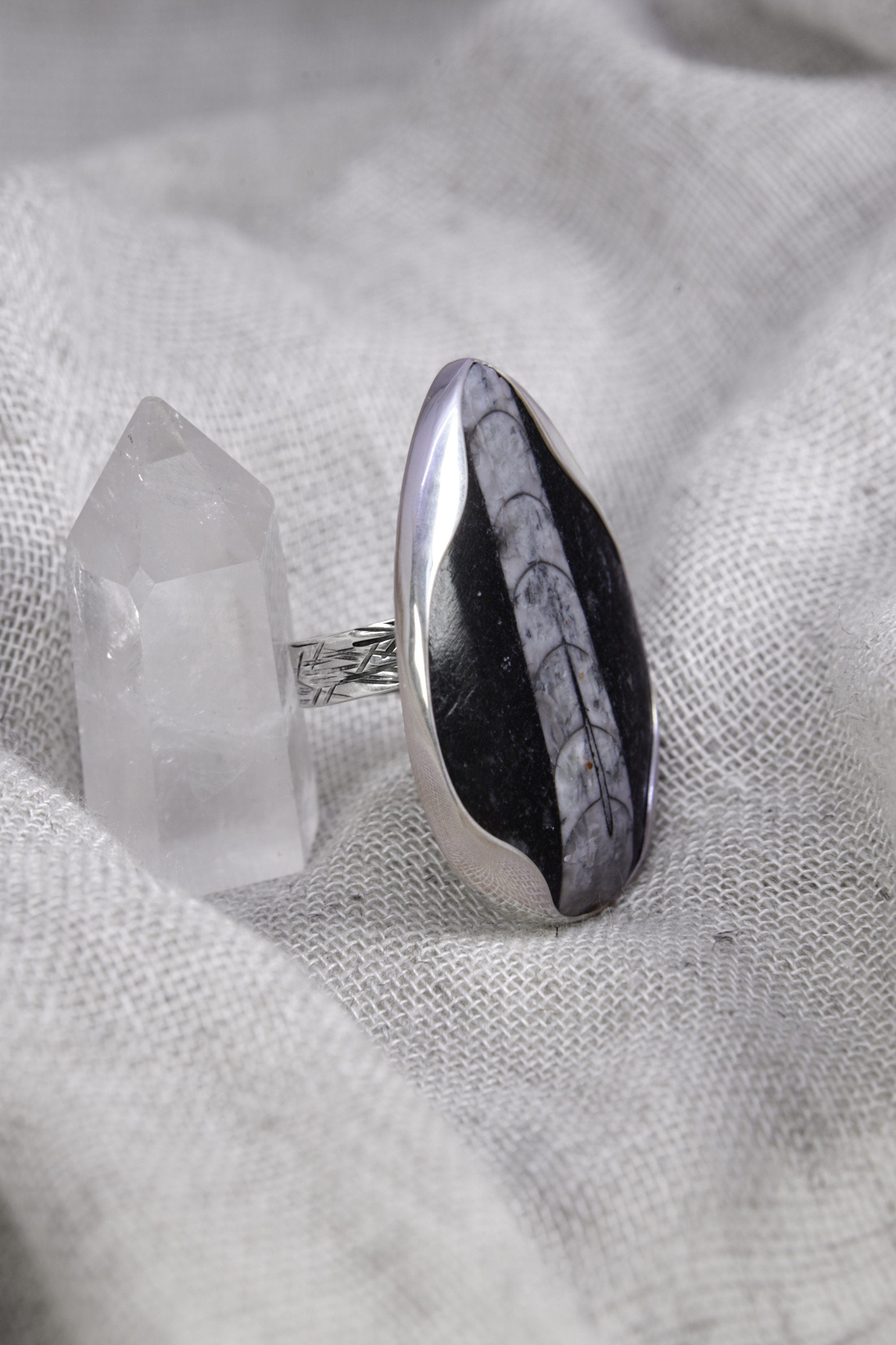 A Sturdy Embrace of Ancient Mysteries and Modern Craft: Adjustable Sterling Silver Ring with Fossil - Unisex - Size 5-10 US