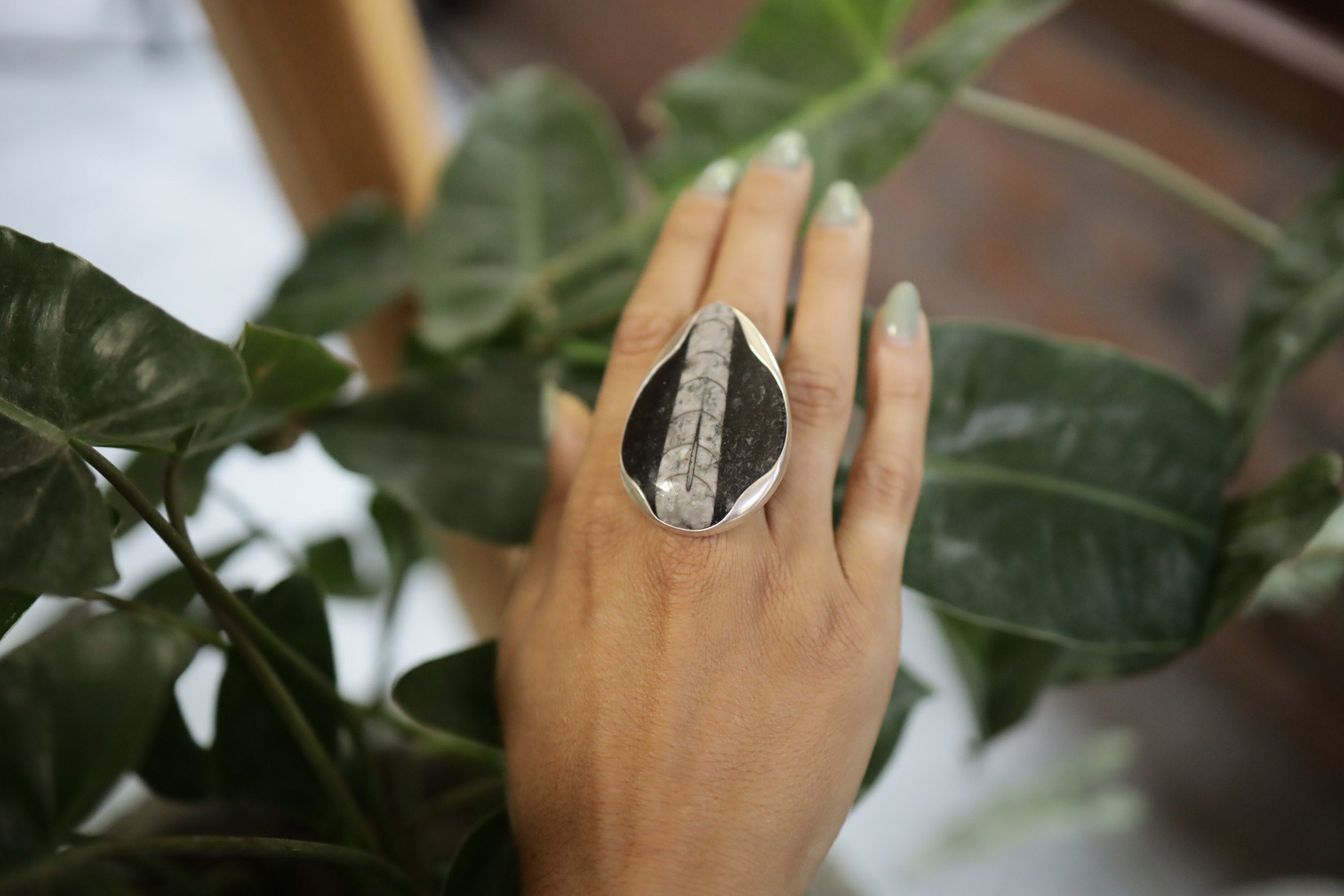 A Sturdy Embrace of Ancient Mysteries and Modern Craft: Adjustable Sterling Silver Ring with Fossil - Unisex - Size 5-10 US