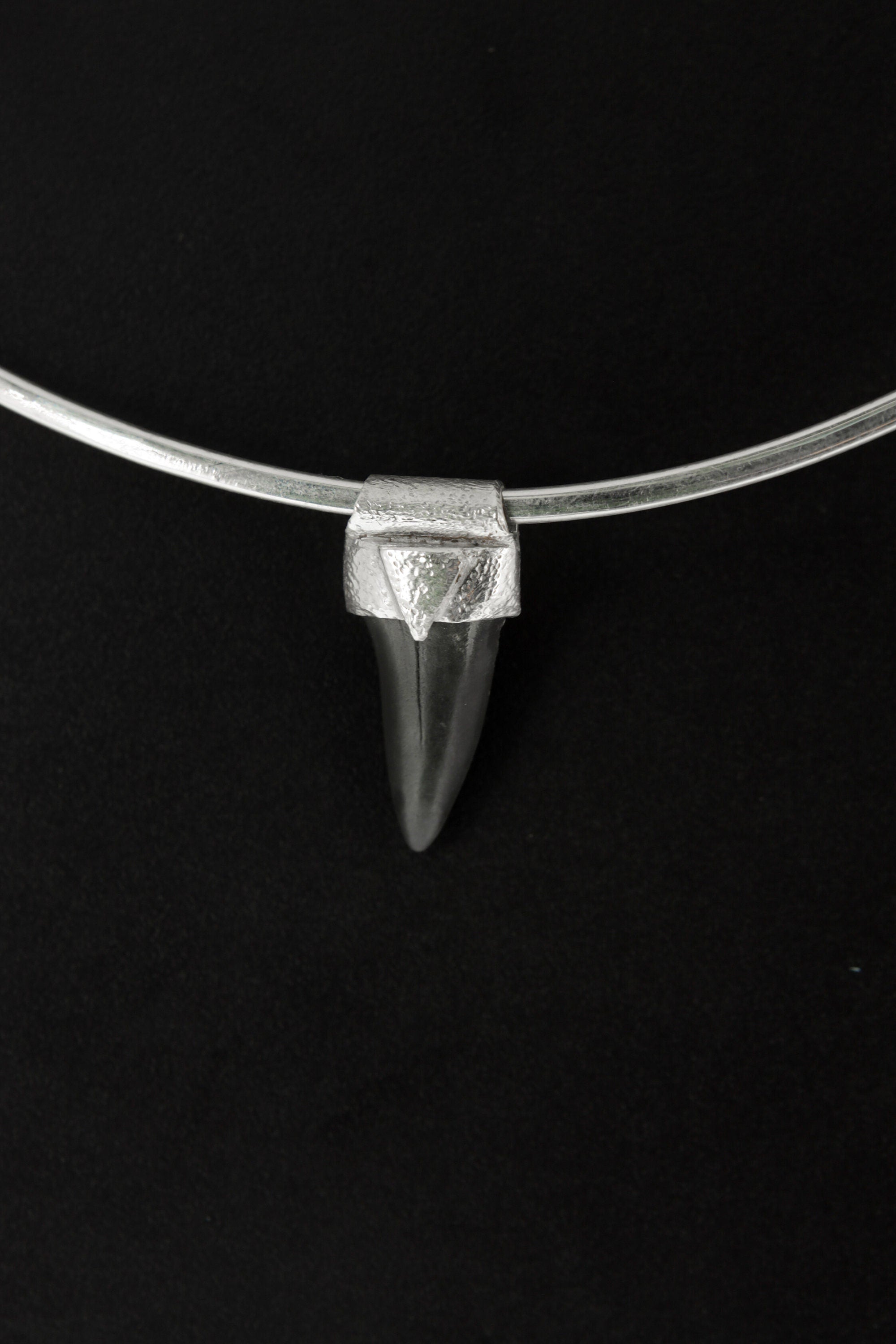 Small Megalodon Fossil Tooth - Stack Pendant - Organic Textured 925 Sterling Silver - Crystal Necklace - NO/01