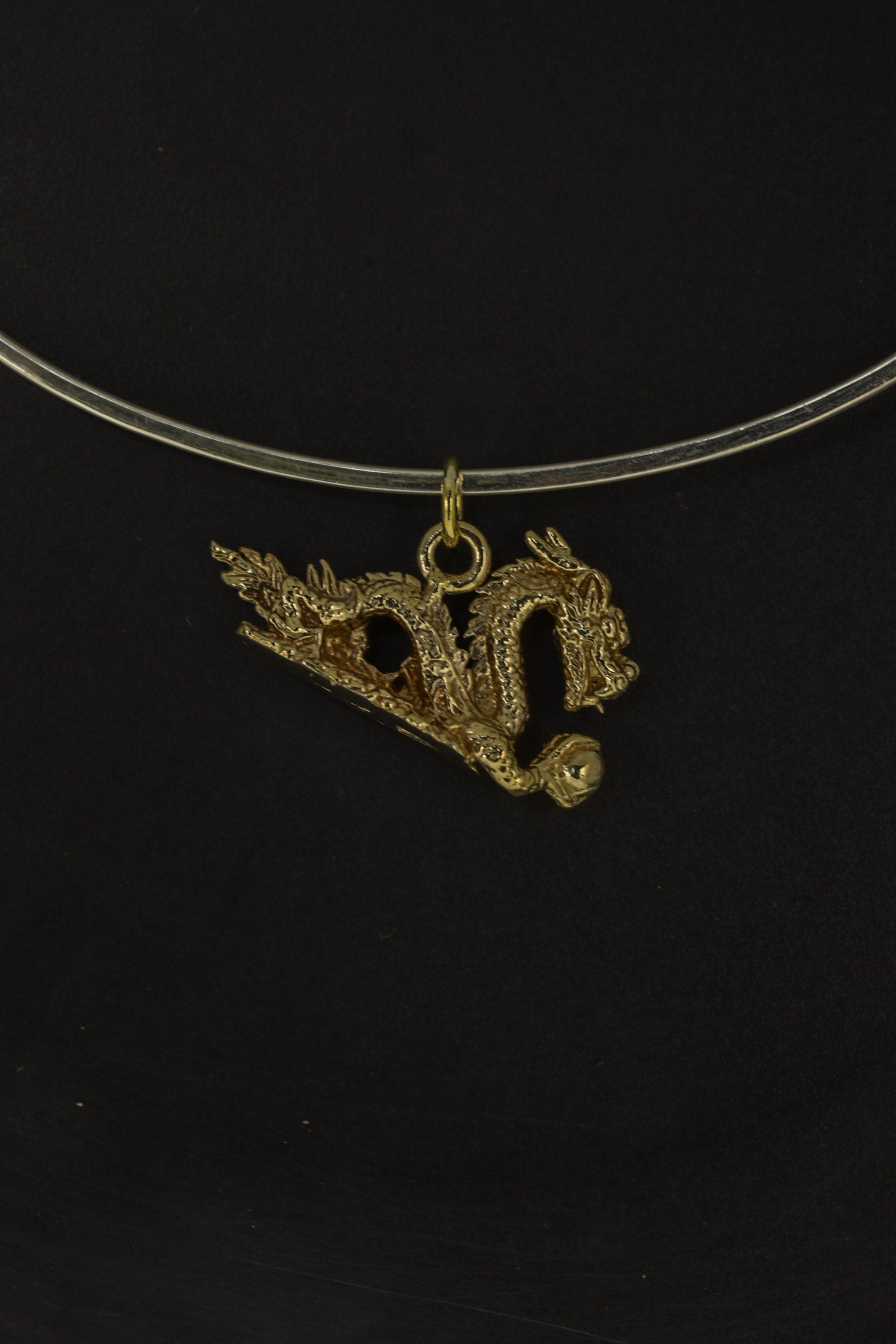 Dragon Pendant with Aurelian Wyvern Crest, Gold Plated Brass Cast Pendant , Enchanting Necklace Charm and Protective Talisman