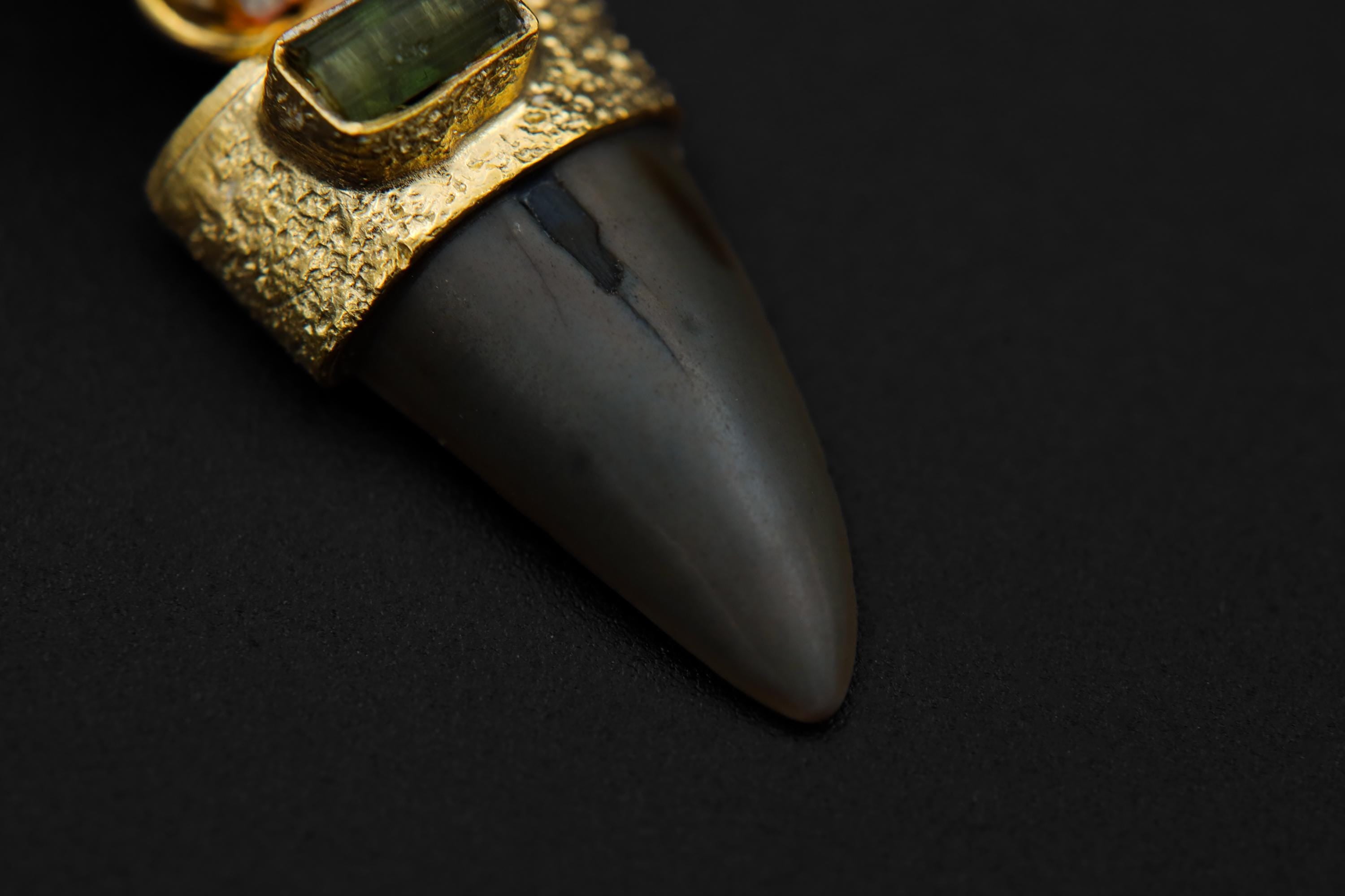 Ancient Megalodon Tooth adorned with Raw Green Tourmaline & Aquamarine Cabochon - Crystal Pendant Neckpiece - Gold Plated 18K - NO/01