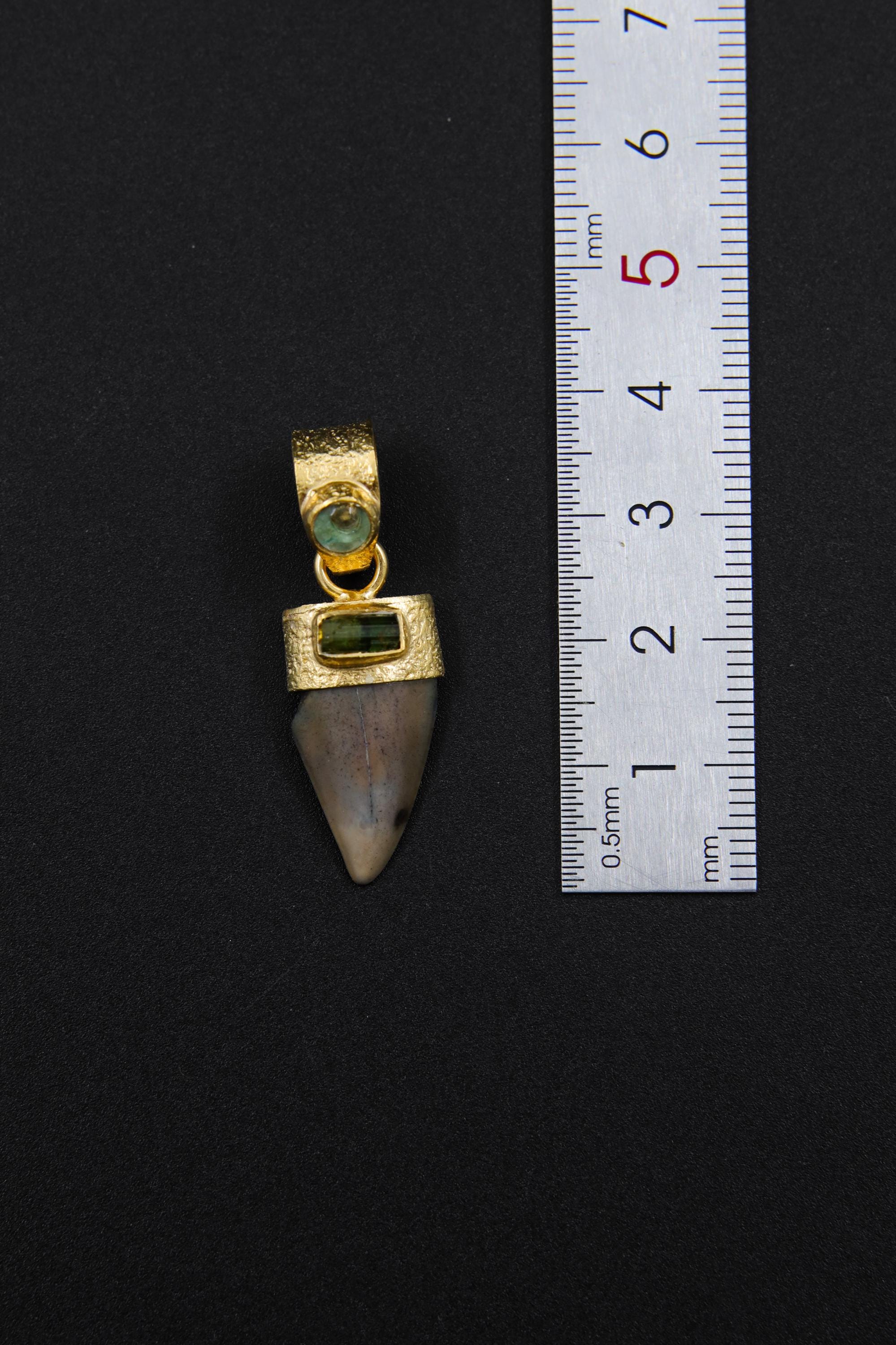 Ancient Megalodon Tooth Pendant with Raw Green Tourmaline & Aquamarine, 18K Gold-Plated Sterling Silver, Root Chakra, Unique Gift - NO/02