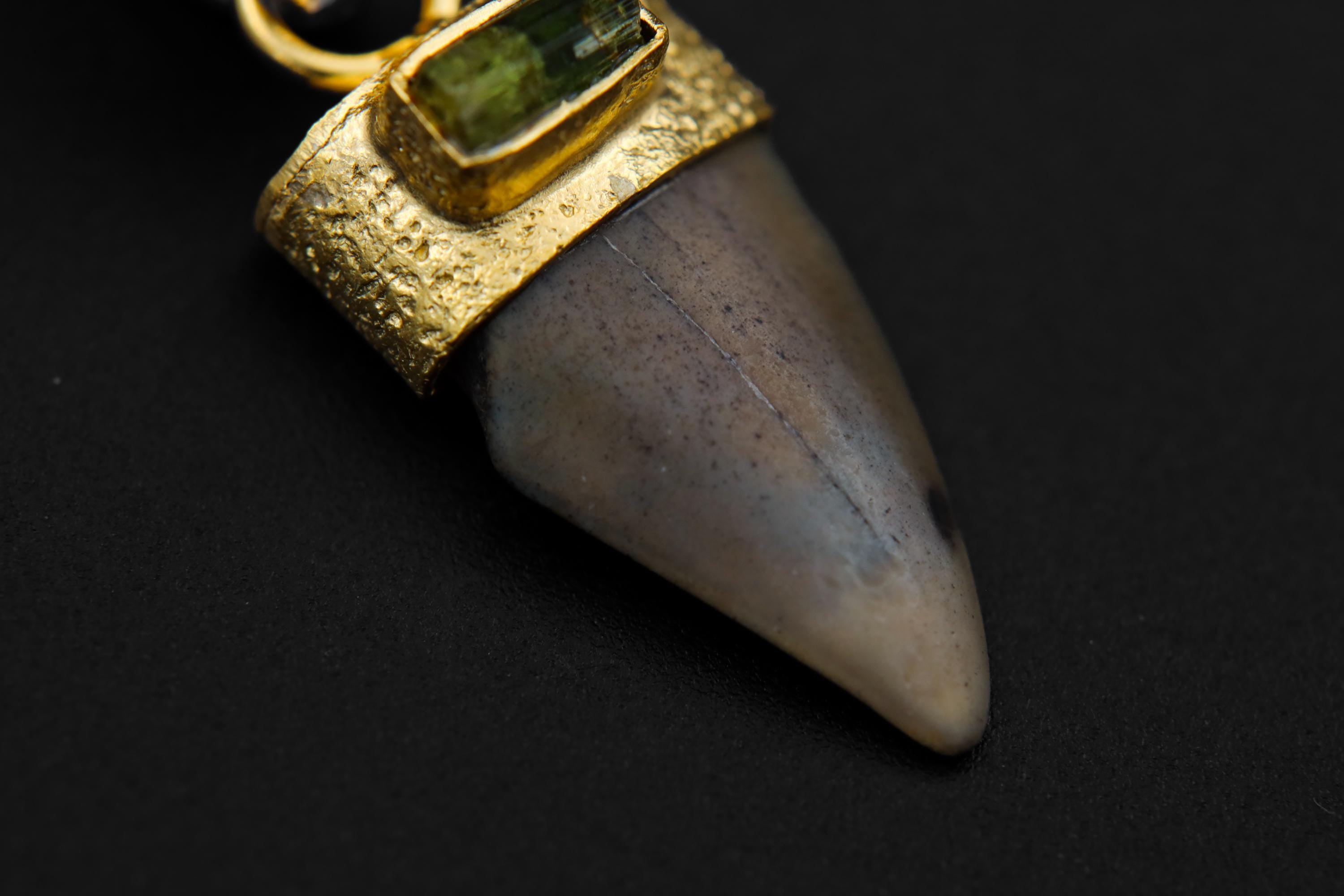 Ancient Megalodon Tooth Pendant with Raw Green Tourmaline & Aquamarine, 18K Gold-Plated Sterling Silver, Root Chakra, Unique Gift - NO/02