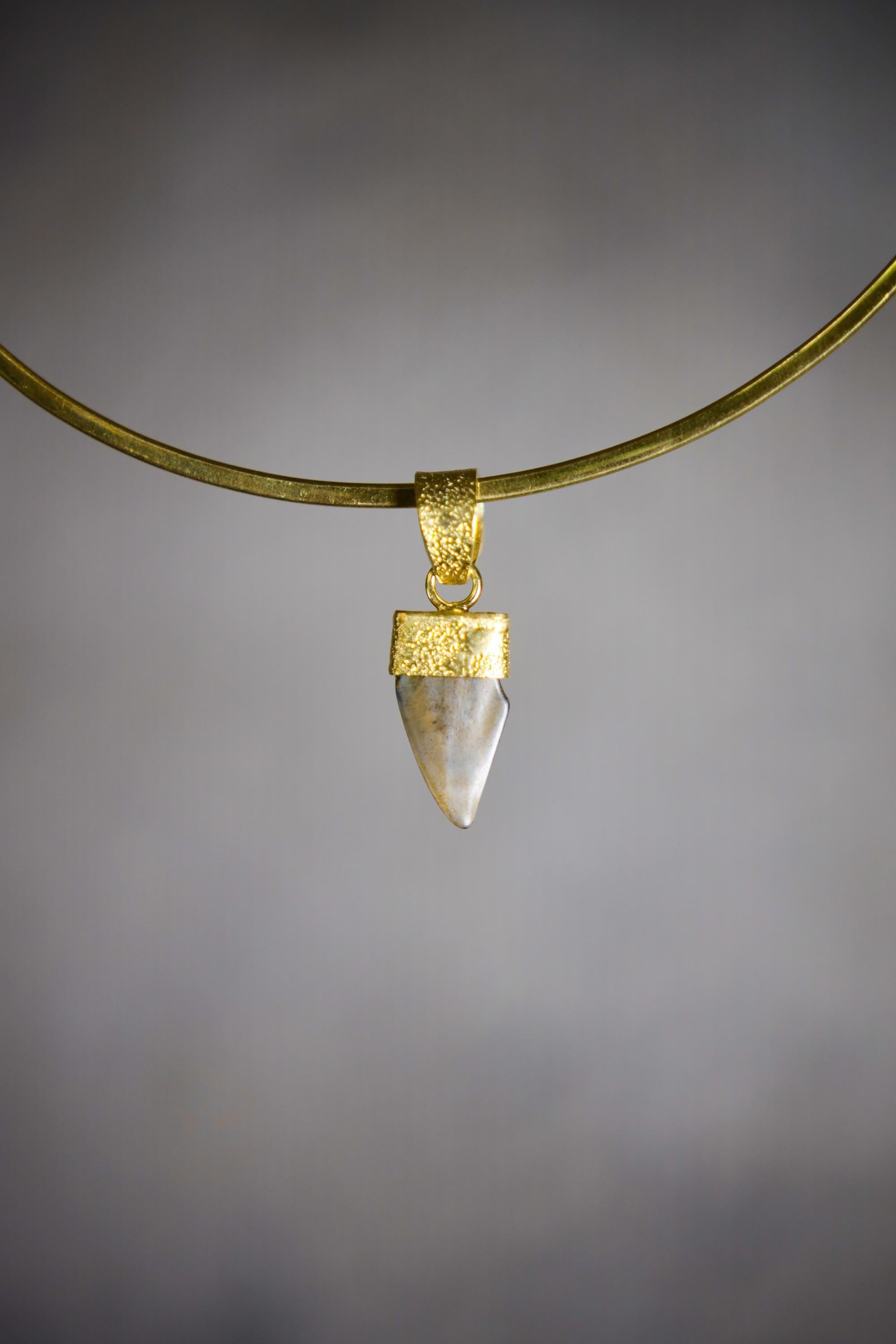 Ancient Megalodon Tooth Pendant with Raw Green Tourmaline & Aquamarine, 18K Gold-Plated Sterling Silver, Root Chakra, Unique Gift - NO/02