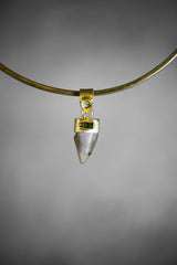 Ancient Megalodon Tooth Pendant with Raw Green Tourmaline & Aquamarine, 18K Gold-Plated Sterling Silver, Root Chakra, Unique Gift - NO/02