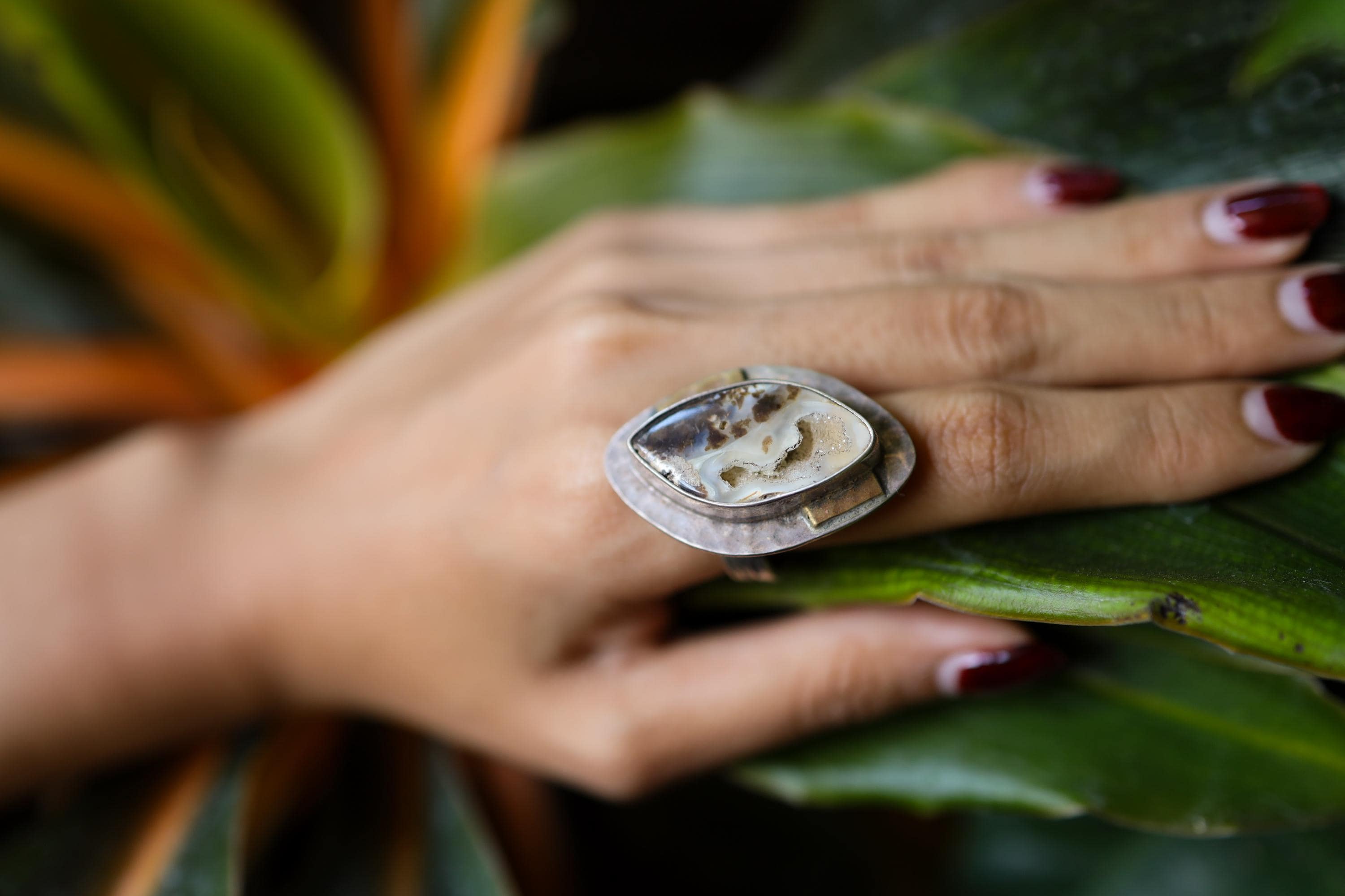 Ammonite Fossilised Shell slice Ring - Adjustable Crystal Ring - Textured Band and bezel - Abstract brass dressing - Size 4 - 10 US