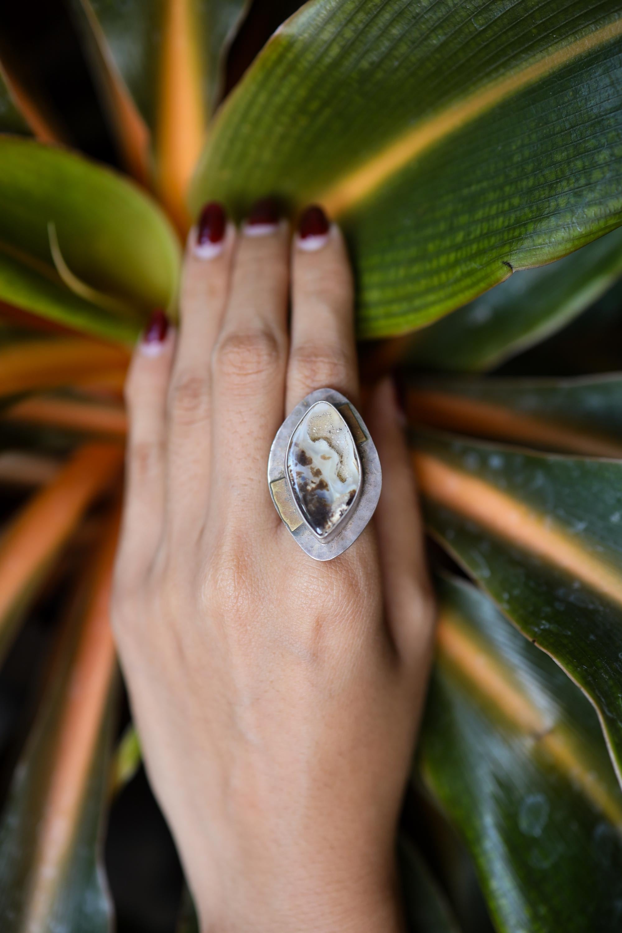 Ammonite Fossilised Shell slice Ring - Adjustable Crystal Ring - Textured Band and bezel - Abstract brass dressing - Size 4 - 10 US